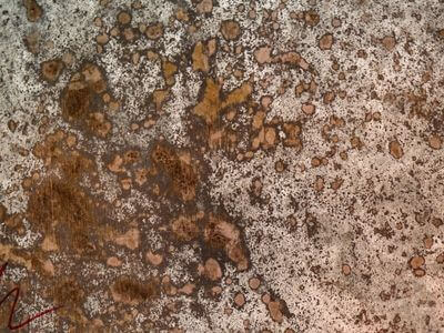 Professional water damage restoration services in Whittier - MoxieCoat